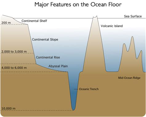 Features Of The Ocean Floor Worksheet
