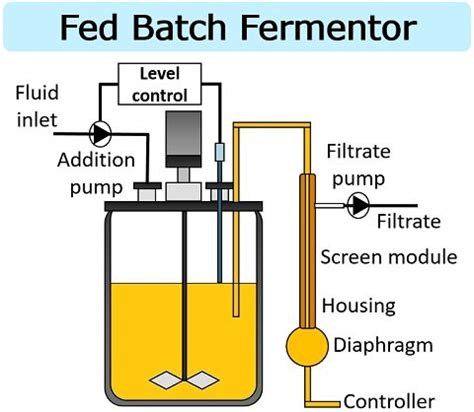 Fed Batch Fermentation