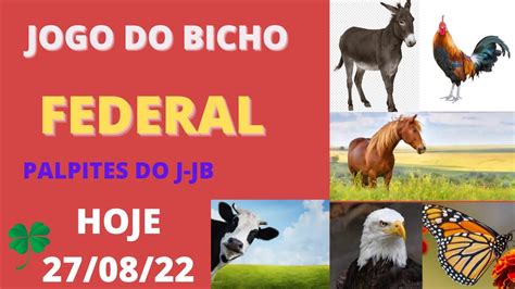 Federal Do Bicho