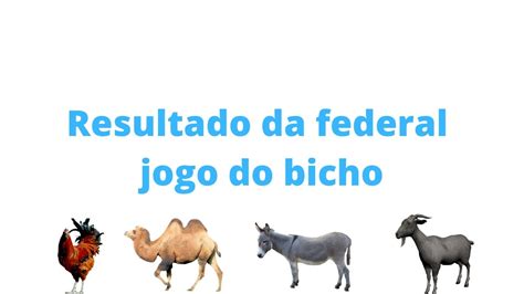 Federal Jogo Bicho