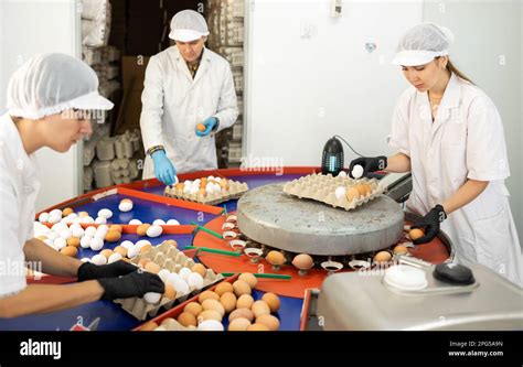 Feed And Egg Quality Control Usaid