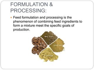 Read Online Feed Formulation And Processing Springer 