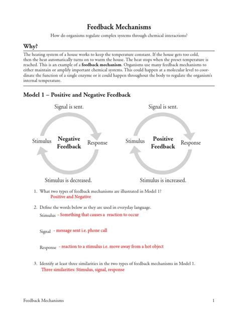 Feedback Mechanisms Pogil