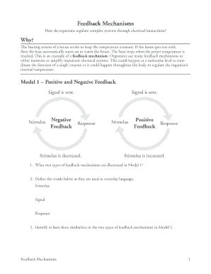 Feedback Mechanisms Pogil Answer Key