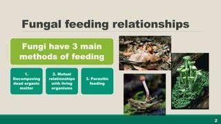 feeding relationships of fungi answer