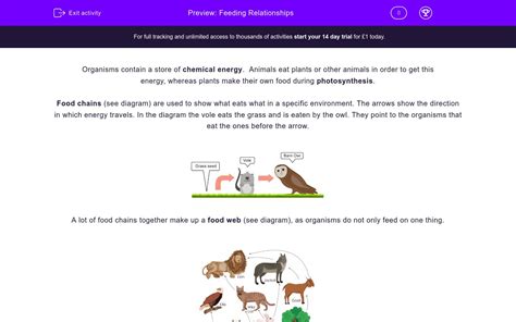 Full Download Feeding Relationships Activity Food Chains Answer Key 