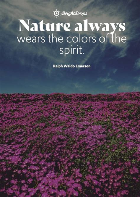 Feel Nature Quotes