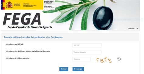 5 bet: Apostas Desportivas Online com Garantia de Segurança Financeira para Todos os Jogadores - Foto 2