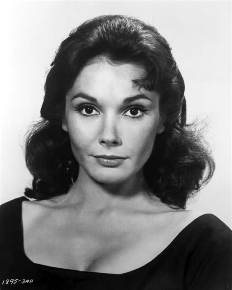 felicia farr actress biography