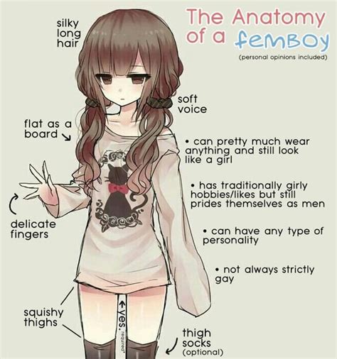 Femboy anatomy