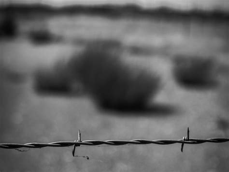 Read Online Fencing The Great Plains The History Of Barbed Wire 