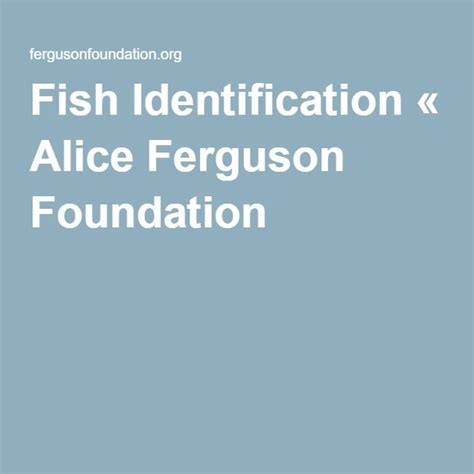 Ferguson Foundation Fish Identification