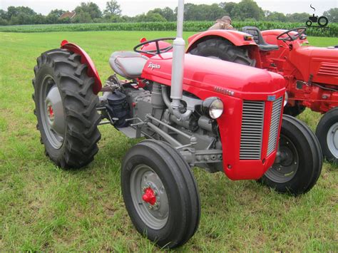 Ferguson Tef 20