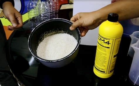 fermentasi air cucian beras dengan em4