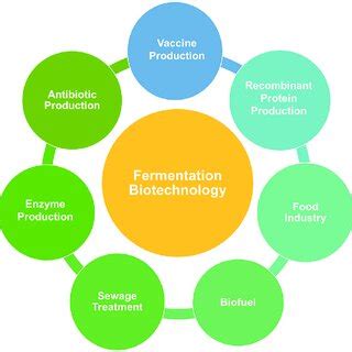 Fermentation Biotechnology