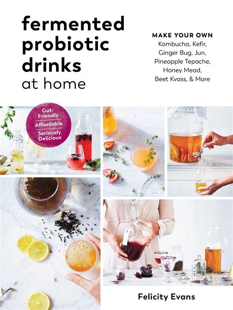 fermented probiotic drinks at home make your own