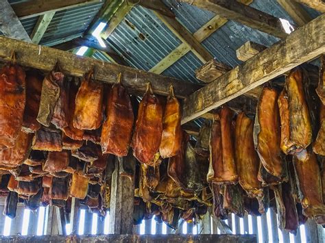 Fermented Shark Norway