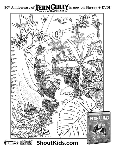 fern gully activity sheets