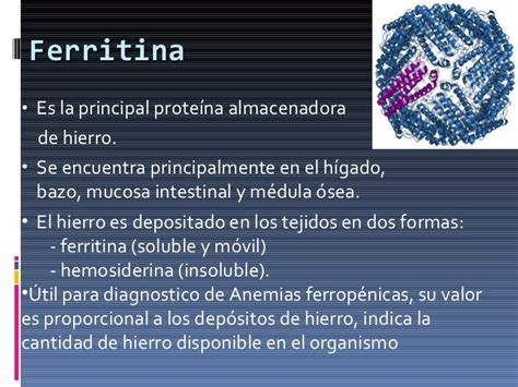 Ferremia Que Es