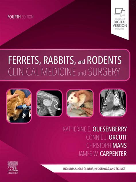 Download Ferrets Rabbits And Rodents Clinical Medicine And Surgery 3E By Quesenberry Dvm Mph Diplomate Abvp Katherine Carpenter Ms 3Rd Third Edition Paperback2011 