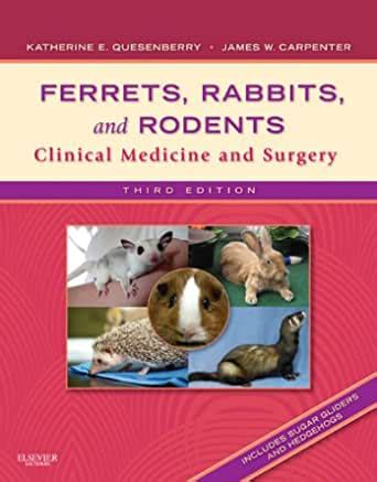 Download Ferrets Rabbits And Rodents Elsevier E Book On Intel Education Study Retail Access Card Clinical Medicine And Surgery 3E 