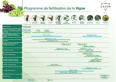 fertilisation de la vigne contribution a une viti