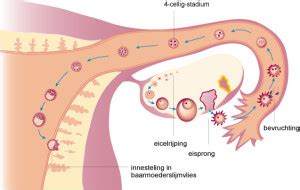fertiliteitsbehandeling