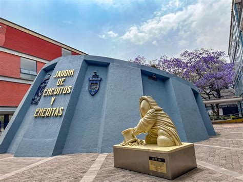 Fes Acatlan Derecho