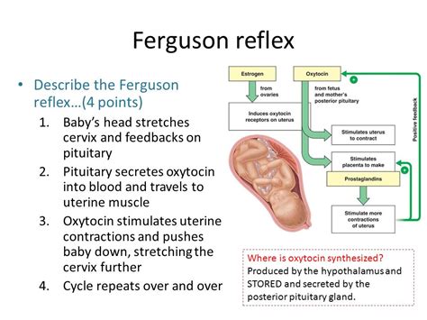 Fetal Ejection Reflex