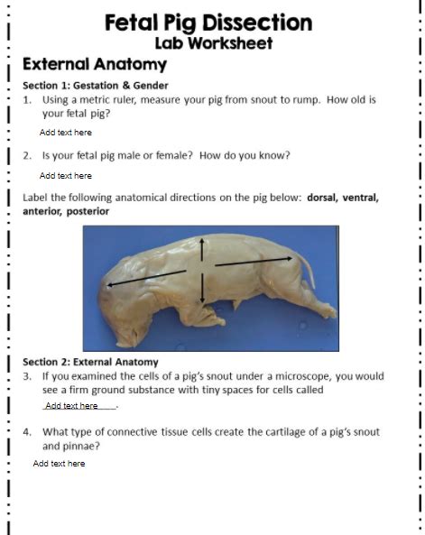 Full Download Fetal Pig Dissection Lab Answer Key Day 1 