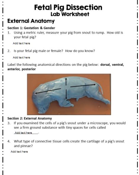 Read Fetal Pig Dissection Lab Worksheet Answers 