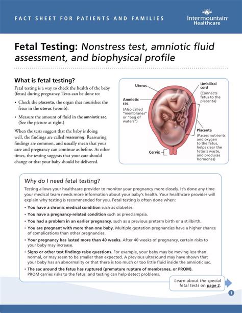 Full Download Fetal Testing Nonstress Test Amniotic Fluid Assessment 