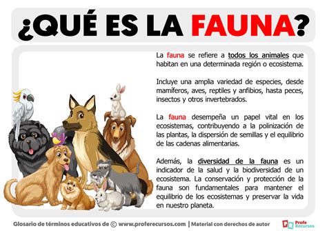 fazobetai: Apostas Desportivas Online com Garantia de Segurança Financeira para Todos os Jogadores - Foto 2