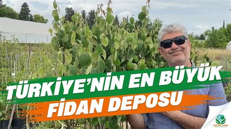 fi̇dan deposu