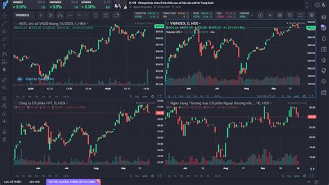 fialda | Fialda B cng c phn tch chng