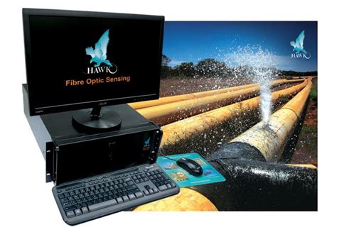 fiber optic leak detection