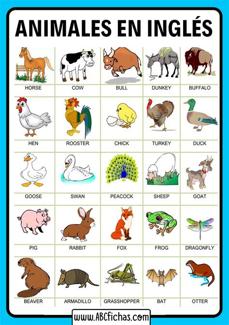 Fichas de animales en inglés para imprimir ¡Gratis!