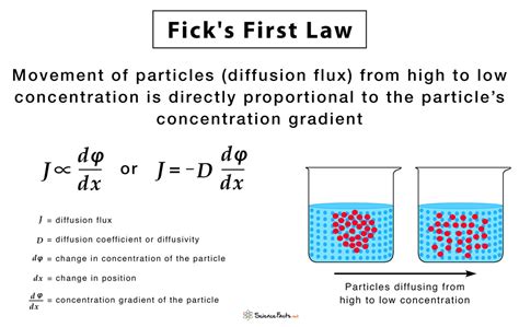 Fick's Law Diffusion