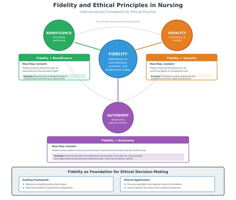 Fidelity In Nursing