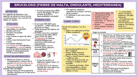Fiebre De Malta
