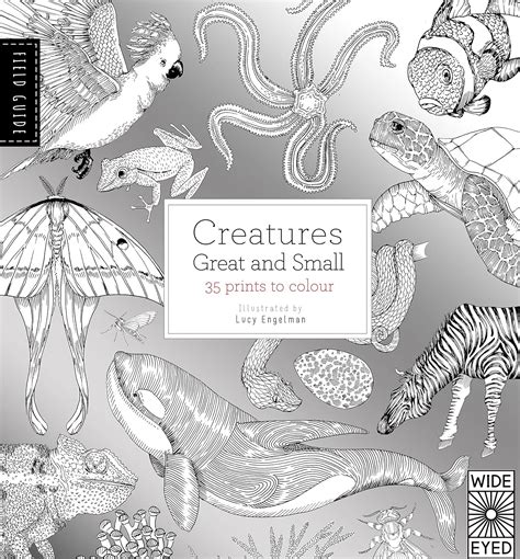 Field Guide Creatures Great And Small