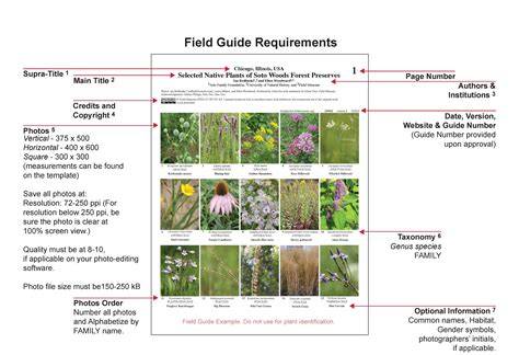 field guide to produce how to identify select and