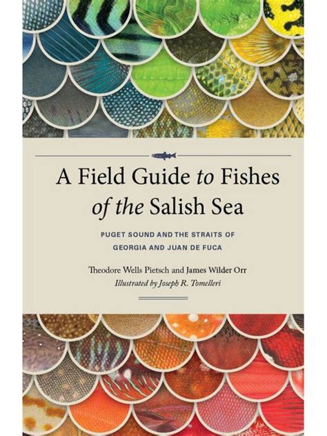 field guide to the fishes of the amazon orinoco an
