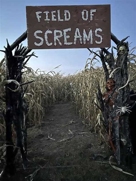 Field Of Screams