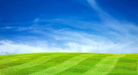 field the