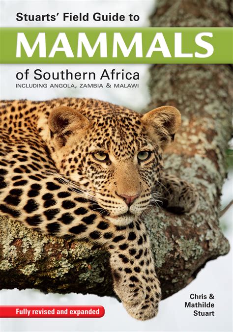 Full Download Field Guide To Mammals Of Southern Africa 