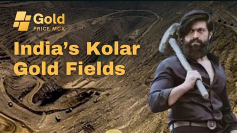 Fields Of The Gold