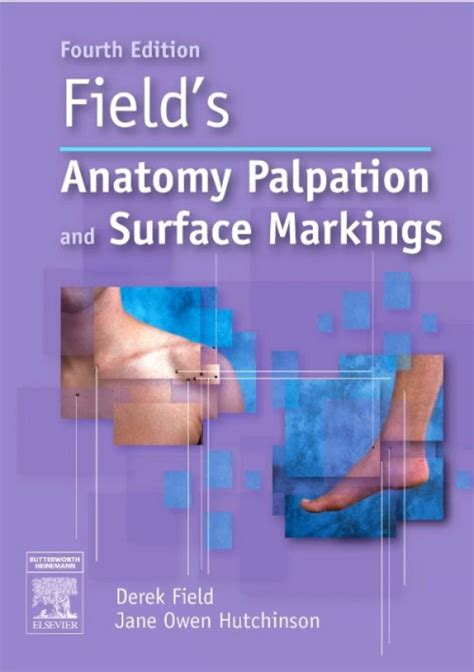 Read Online Fields Anatomy Palpation And Surface Markings 