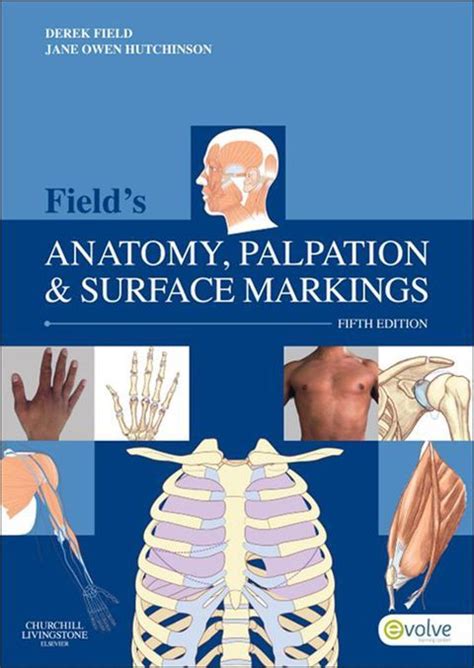 Read Online Fields Anatomy Palpation And Surface Markings 