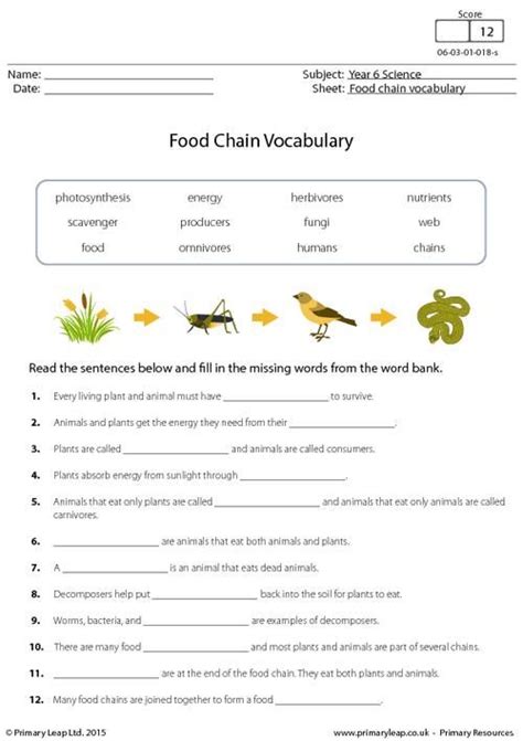 Fifth Grade Grade 5 Food Chains And Webs 5th Grade Food Chain Worksheet - 5th Grade Food Chain Worksheet